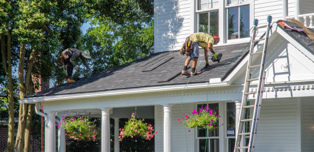 Roof Gutter Cleaning in Bloomfield, MO