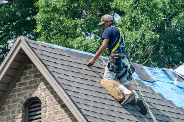 Quick and Trustworthy Emergency Roof Repair Services in Bloomfield, MO